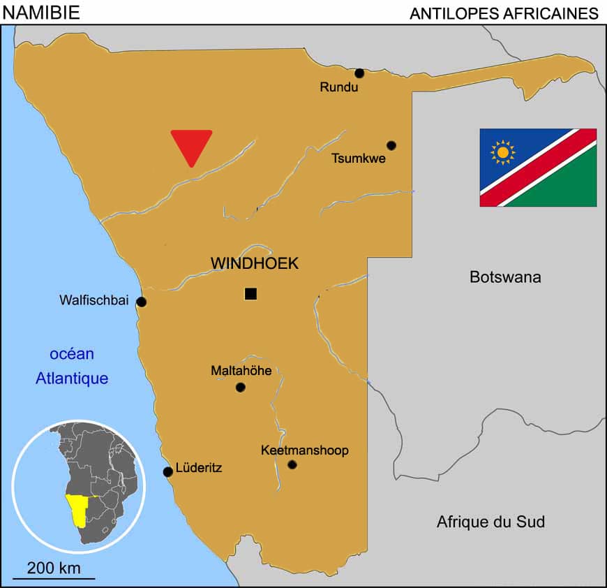 chasse en Namibie