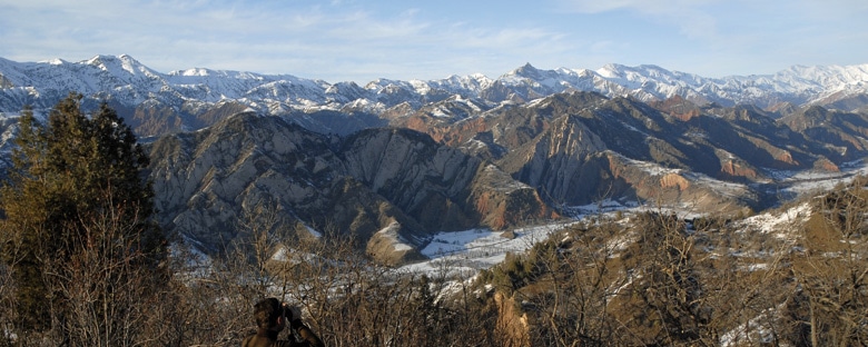 chasse_tadjikistan_sanglier_blog2