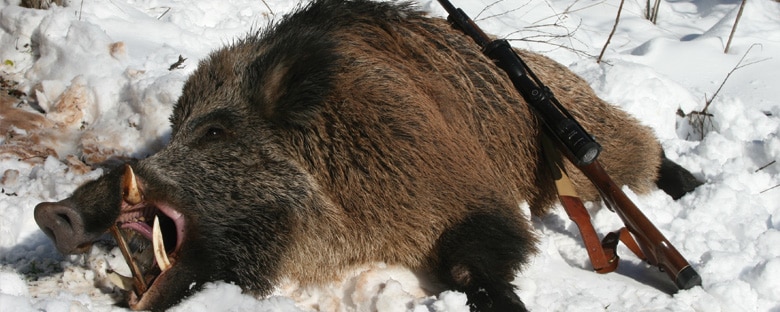 Chasse au Tadjikistan