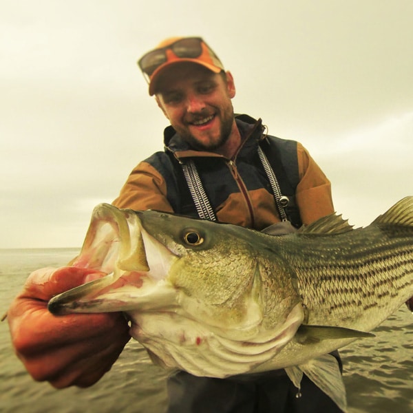 Pêche du bar rayé au Canada