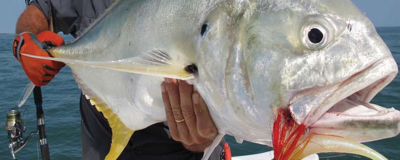peche_bijagos_actualite2