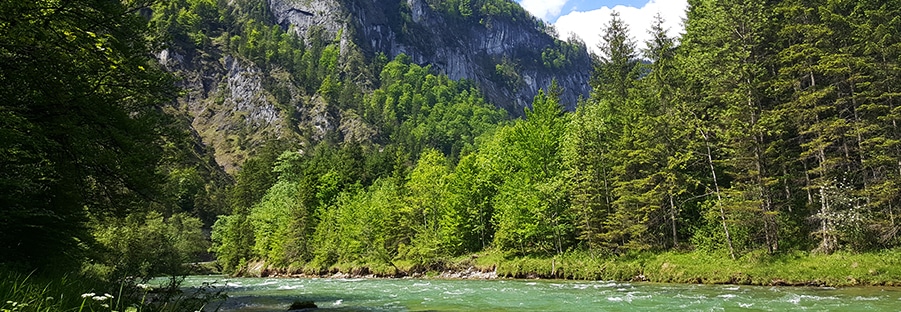 Pêche à la mouche en Autriche