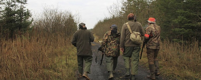 chasse-irlande1