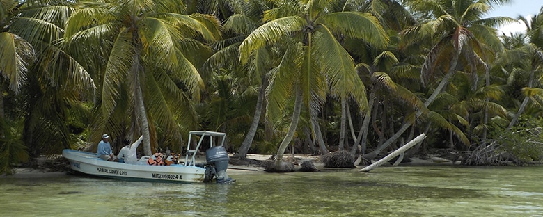 Super Grand Slam à Punta Allen