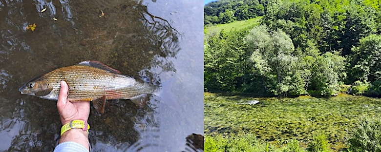 peche-bosnie1