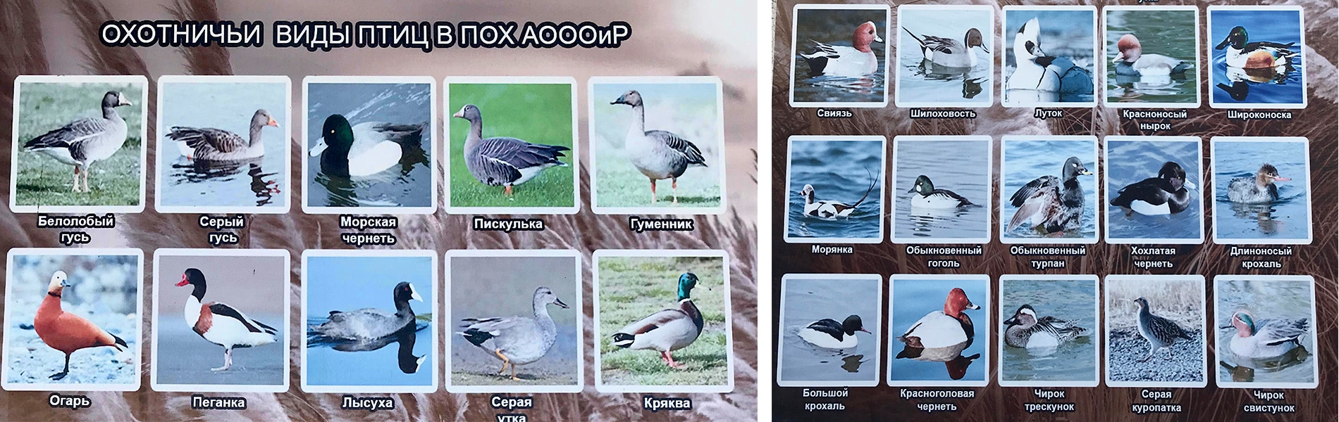 Image du slider