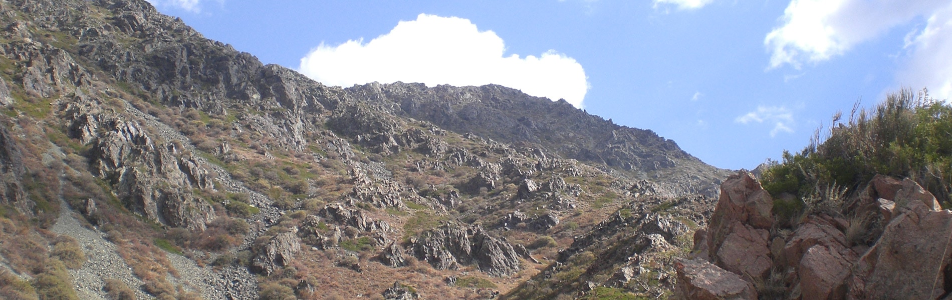 Image du slider
