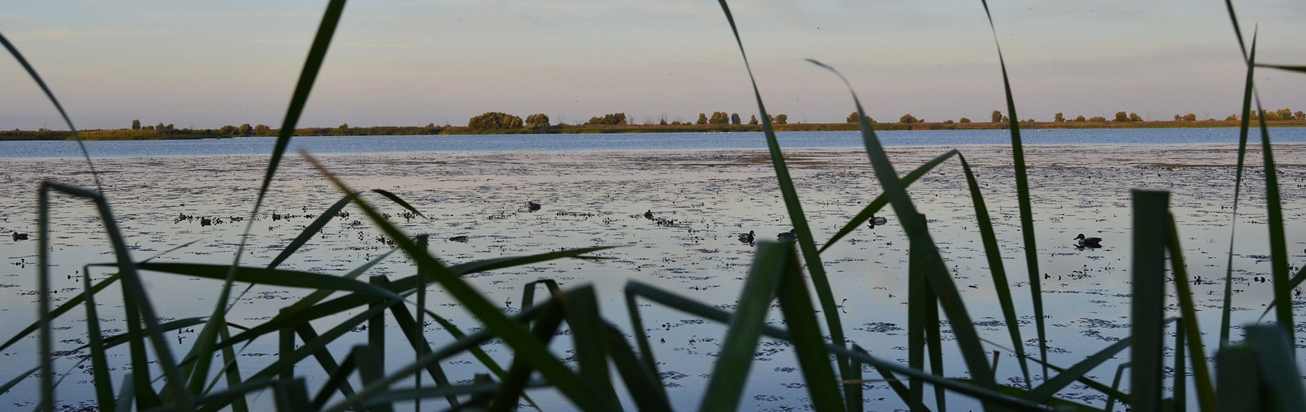 Image du slider