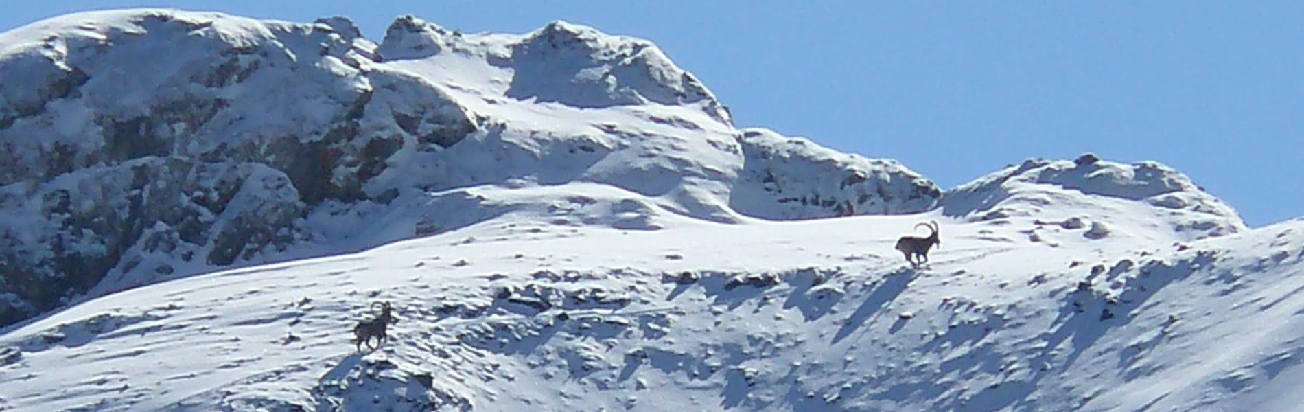 Image du slider