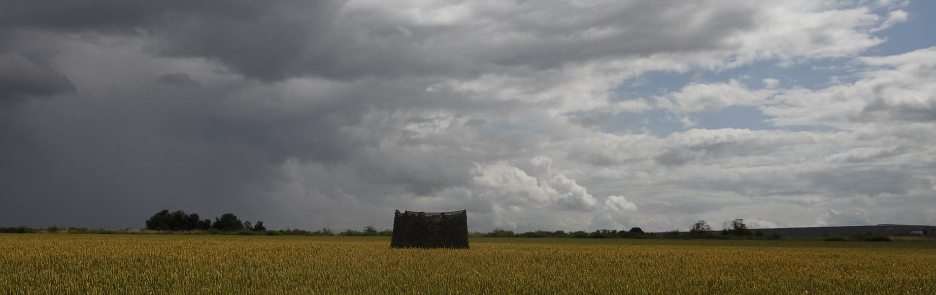 Image du slider