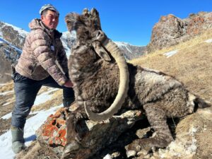 Ibex Record au Kirghizistan
