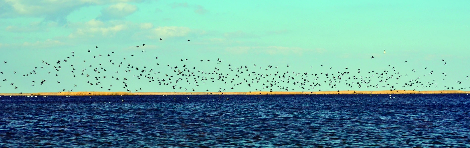 Image du slider