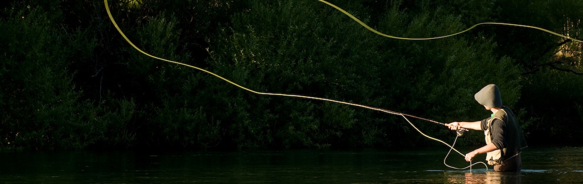 Image du slider