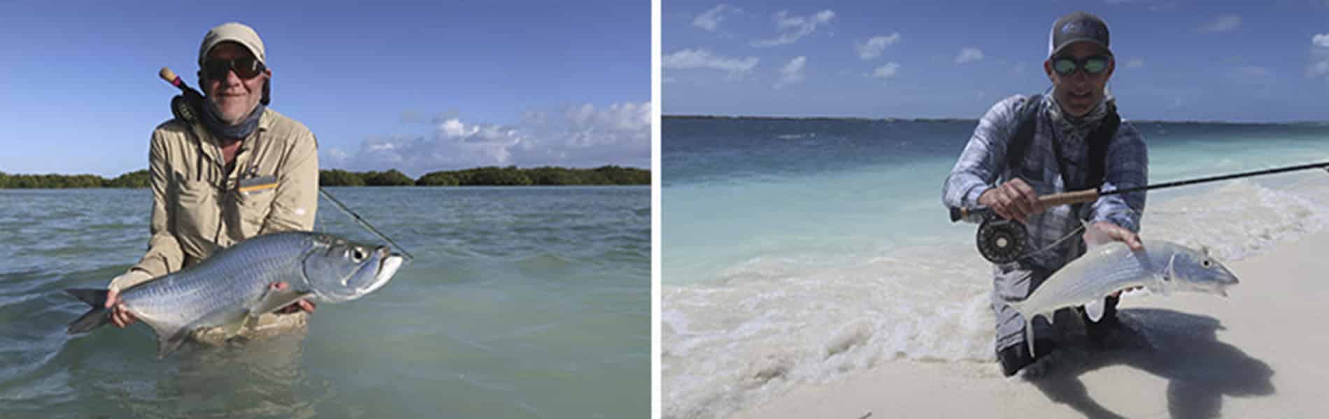 Image du slider