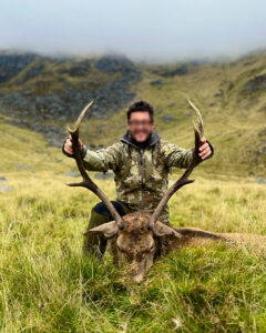 chasse du cerf en Ecosse