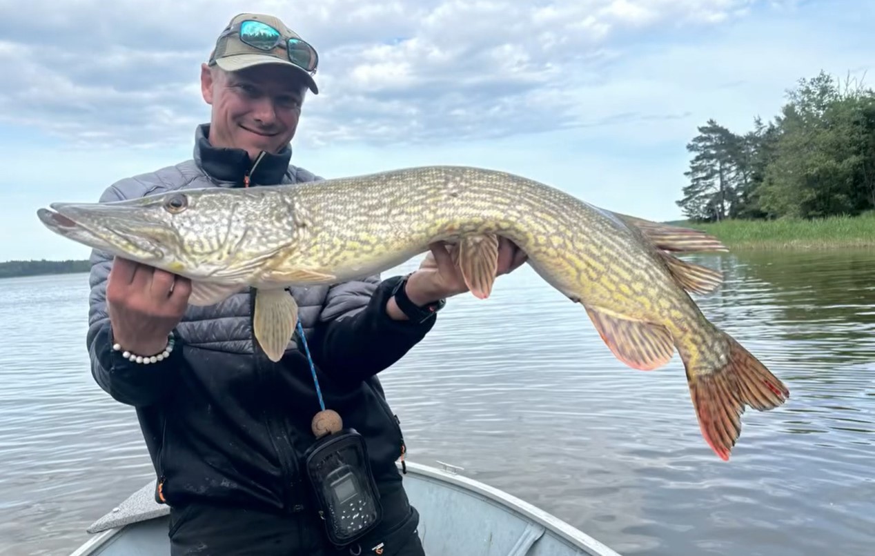 Suède : Pêche des carnassiers sur le lac Sibbo