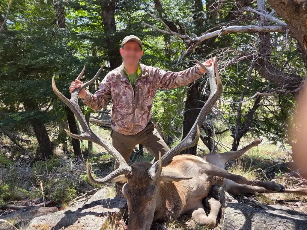 Chasse du cerf en Argentine