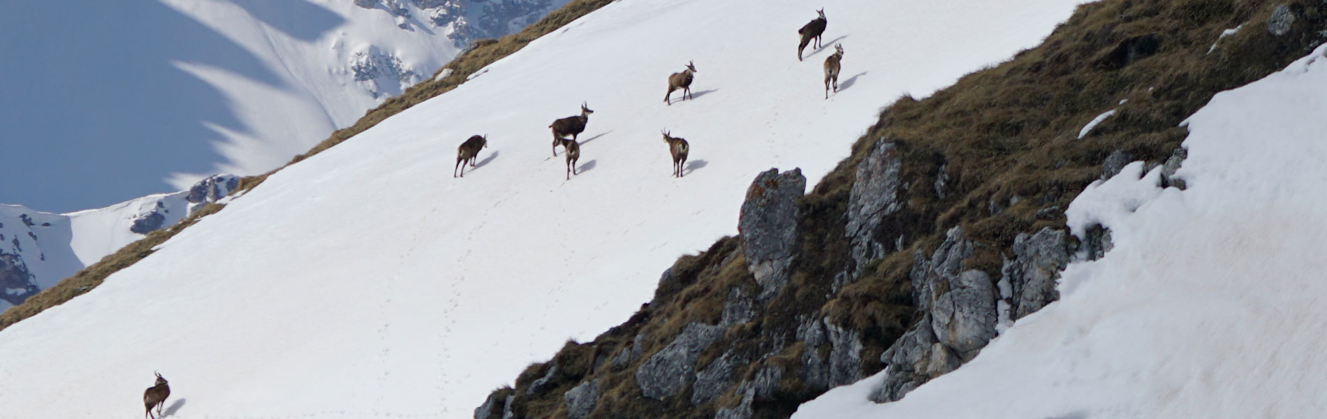Image du slider