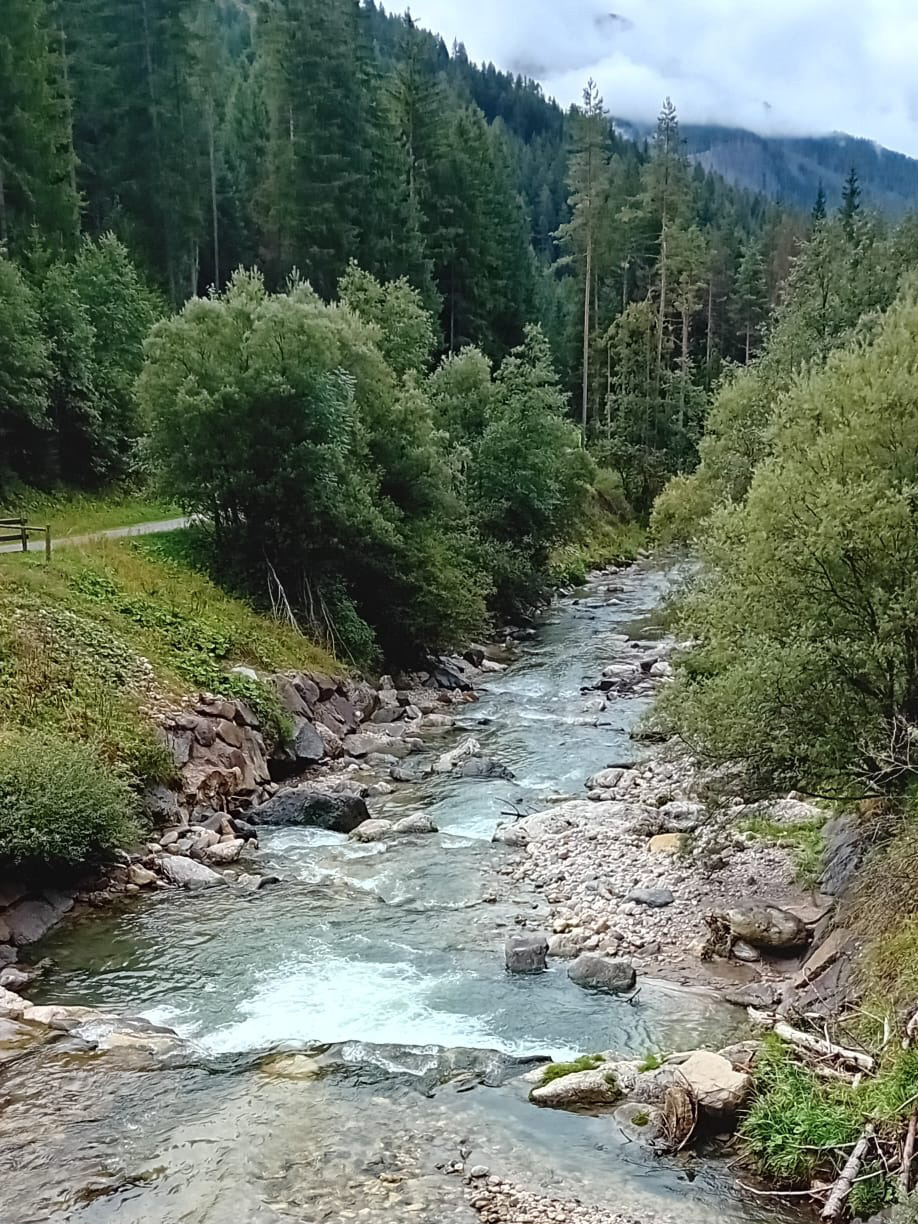 dolomlites-peche-mouche