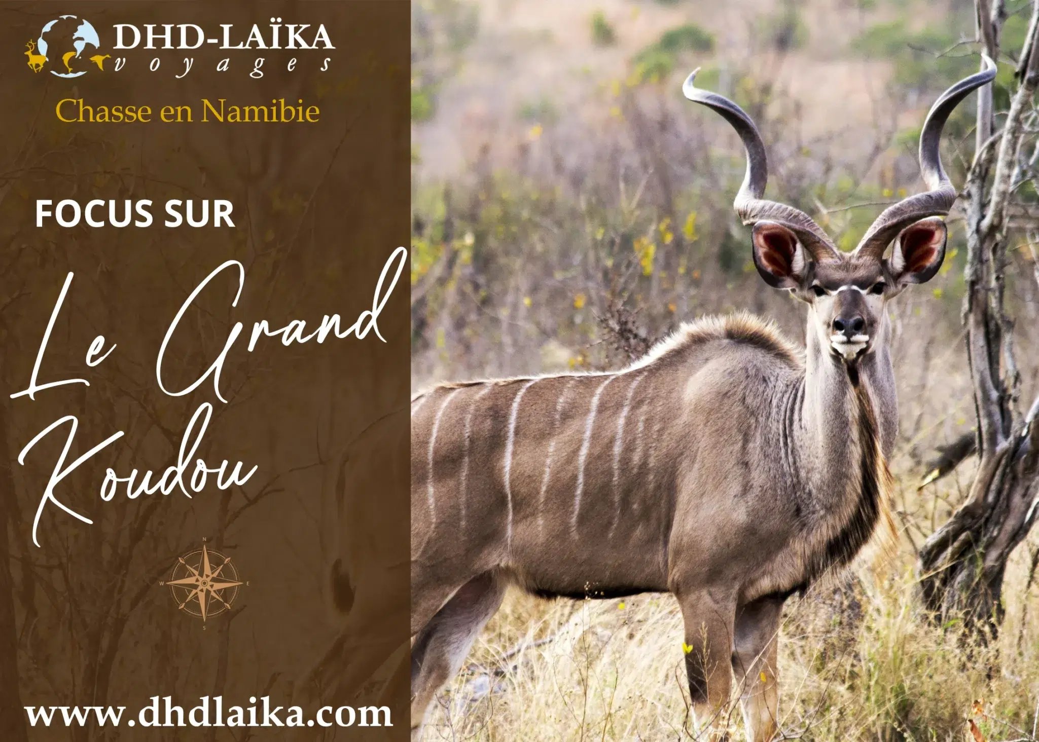chasse en Namibie