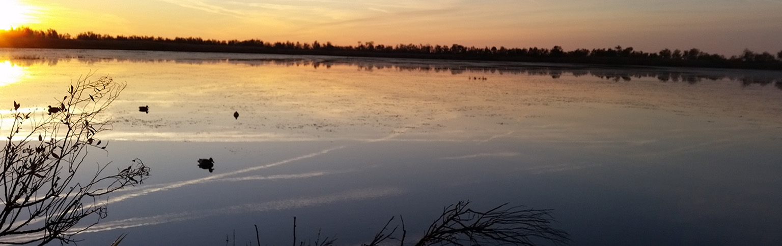 Image du slider