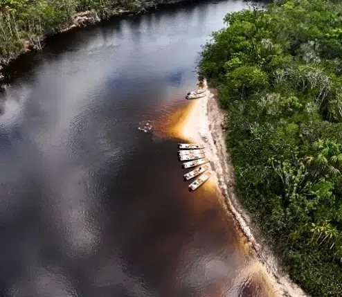 pêche des carnassiers sur le Rio Negro