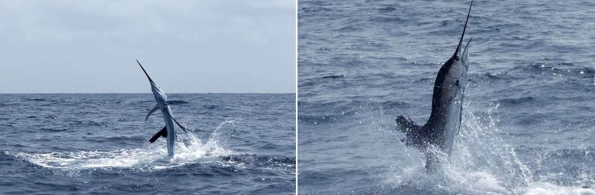 Image du slider
